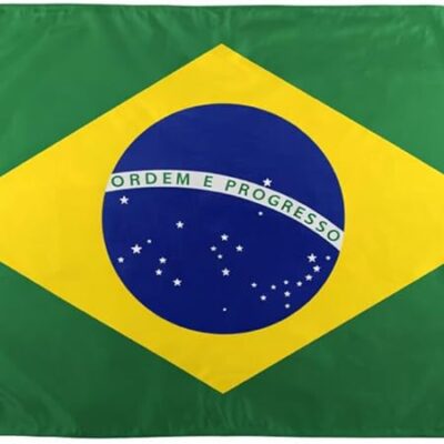 Bandeira Do Brasil Oficial - Diversos Tamanhos E Tecidos (Poliéster, 2,00x1,50m)